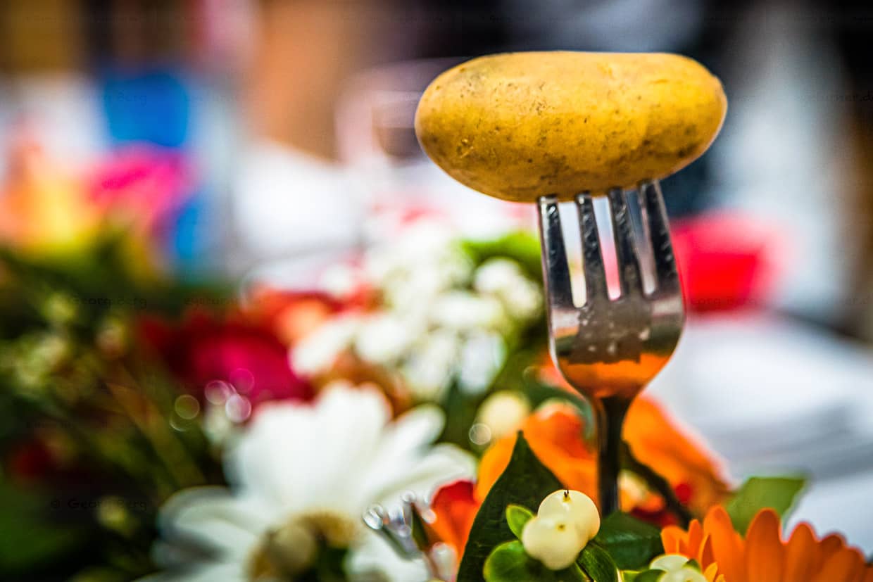 Potato decorative on the fork / © Photo: Georg Berg