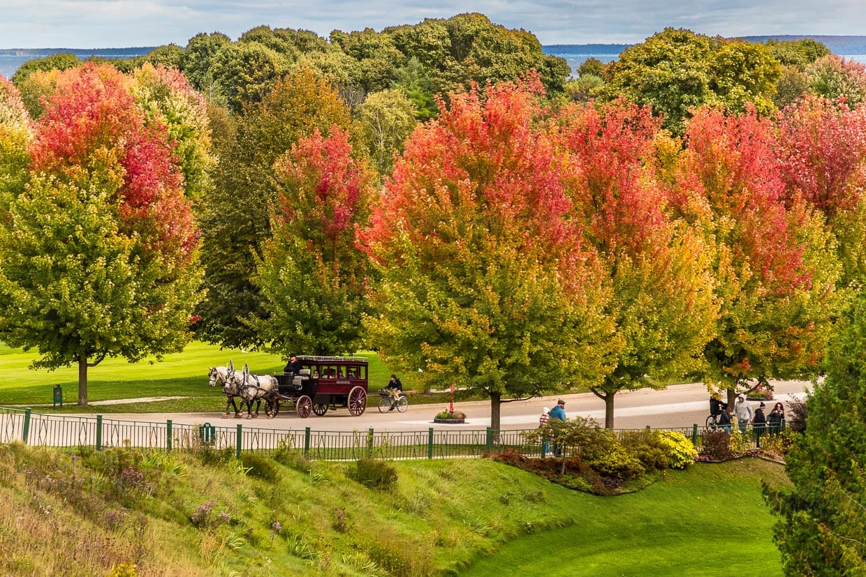 Horse-drawn carriage and trees in bright autumnal colors on Cadotte Avenue. The driveway to the Grand Hotel Mackinac Island / © Photo: Georg Berg