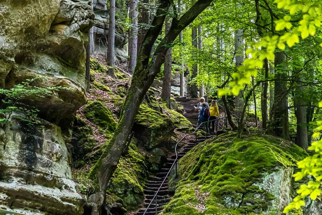 El Müllerthal es conocido por sus formaciones rocosas de arenisca. La escalera exterior de la gran roca Perekop. También se puede caminar por el centro de la roca a través de una empinada escalera / © Foto: Georg Berg