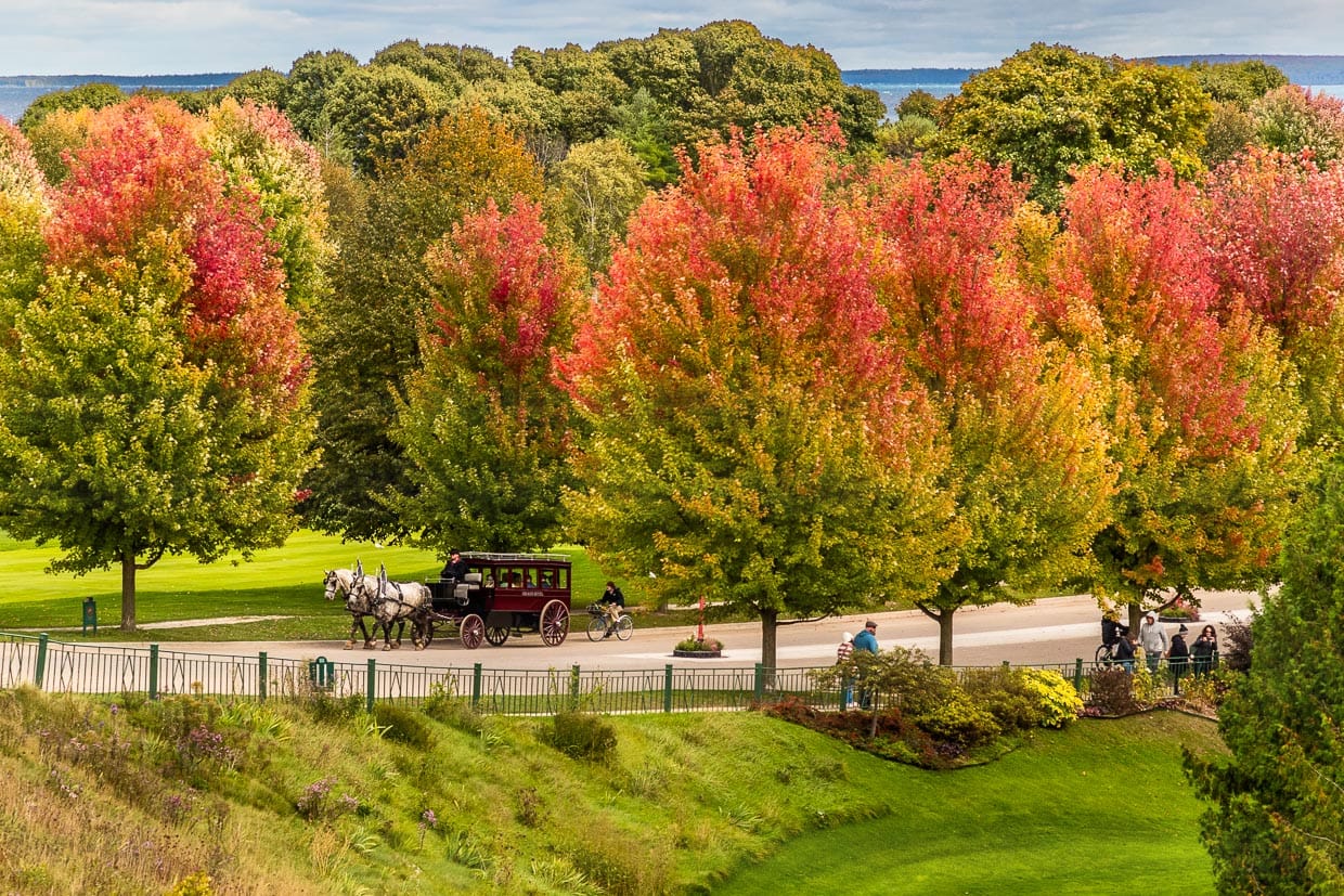 Voiture à cheval et arbres aux couleurs vives de l'automne sur l'avenue Cadotte. L'accès au Grand Hôtel Mackinac Island / © Photo : Georg Berg