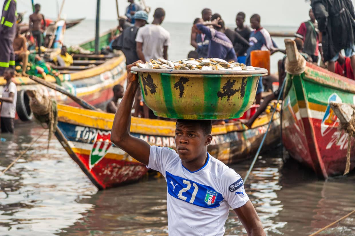 30 Kilo Fisch werden in Sierra Leone mit Haltung transportiert / © Foto: Georg Berg