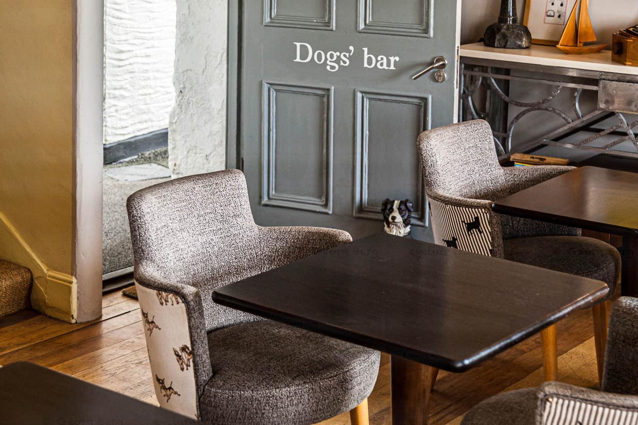 Wenn Hund-Frauchen/Herrchen unzertrennlich sind, dann ist die Dogs-Bar der richtige Ort. Hier wird auf Wunsch auch das Essen aus dem Restaurant serviert / © Foto: Georg Berg