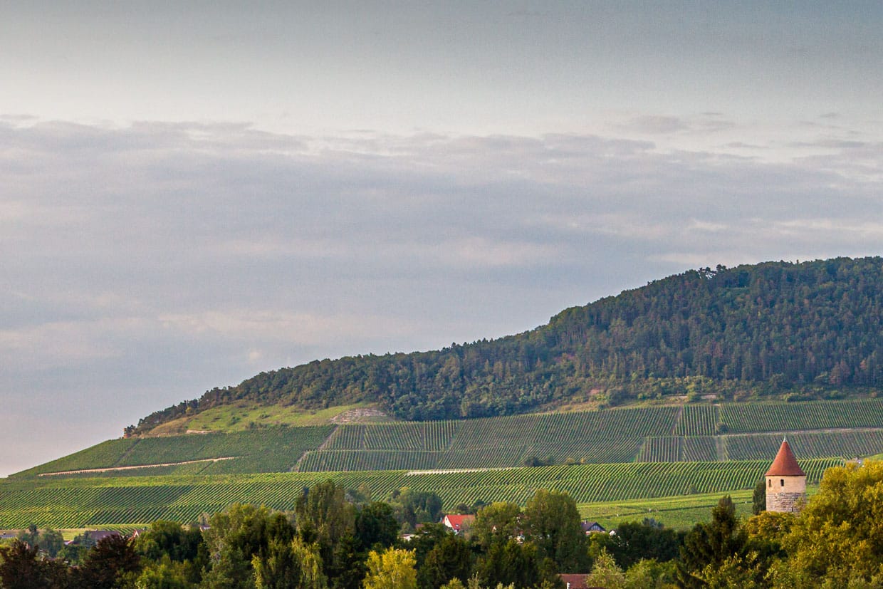 Julius-Echter-Berg, die berühmteste Lage des Weinguts Hans Wirsching / © Foto: Georg Berg