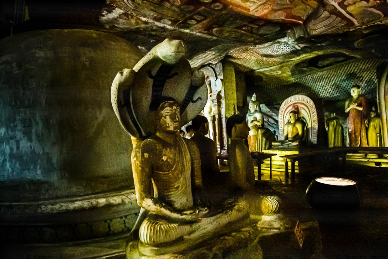 Mehr als 48 Buddha-Statuen gibt es in den Höhlentempeln von Dambulla. Naga Statuen stellen Buddha von einer Königskobra bei der Meditation beschützt dar / © Foto: Georg Berg
