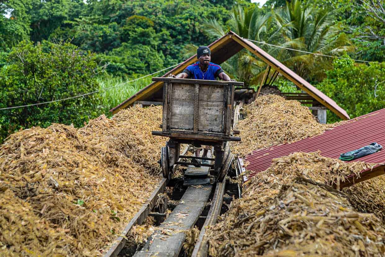 Auf der einzigen 50 Meter langen Bahnstrecke Grenadas wird die Bagasse, das ausgepresste Zuckerrohr, auf einem klapprigen Wagen über die Halde geschoben / © Foto: Georg Berg