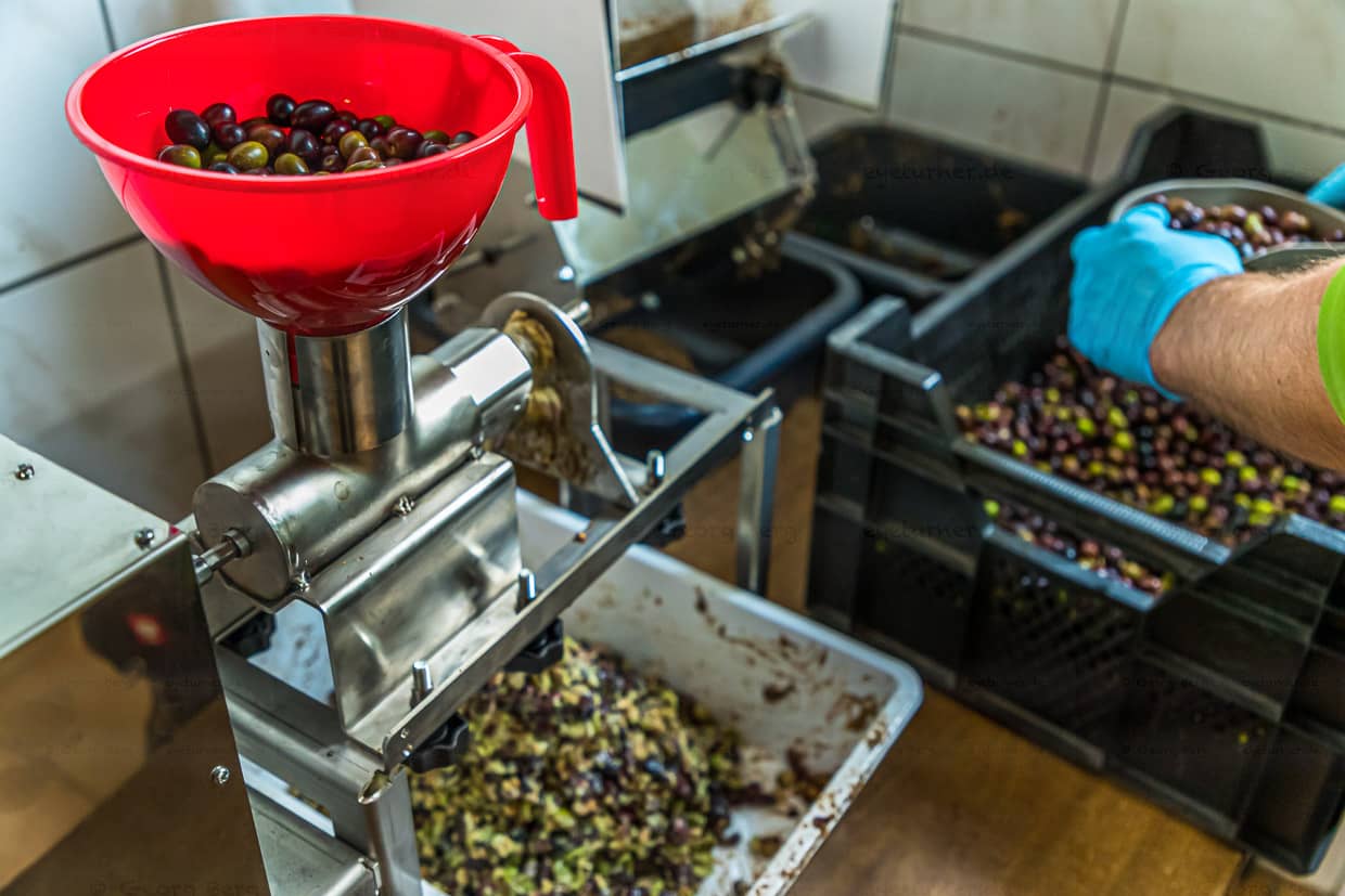 Die getrockneten und gereinigte Oliven werden zerkleinert / © Foto: Georg Berg