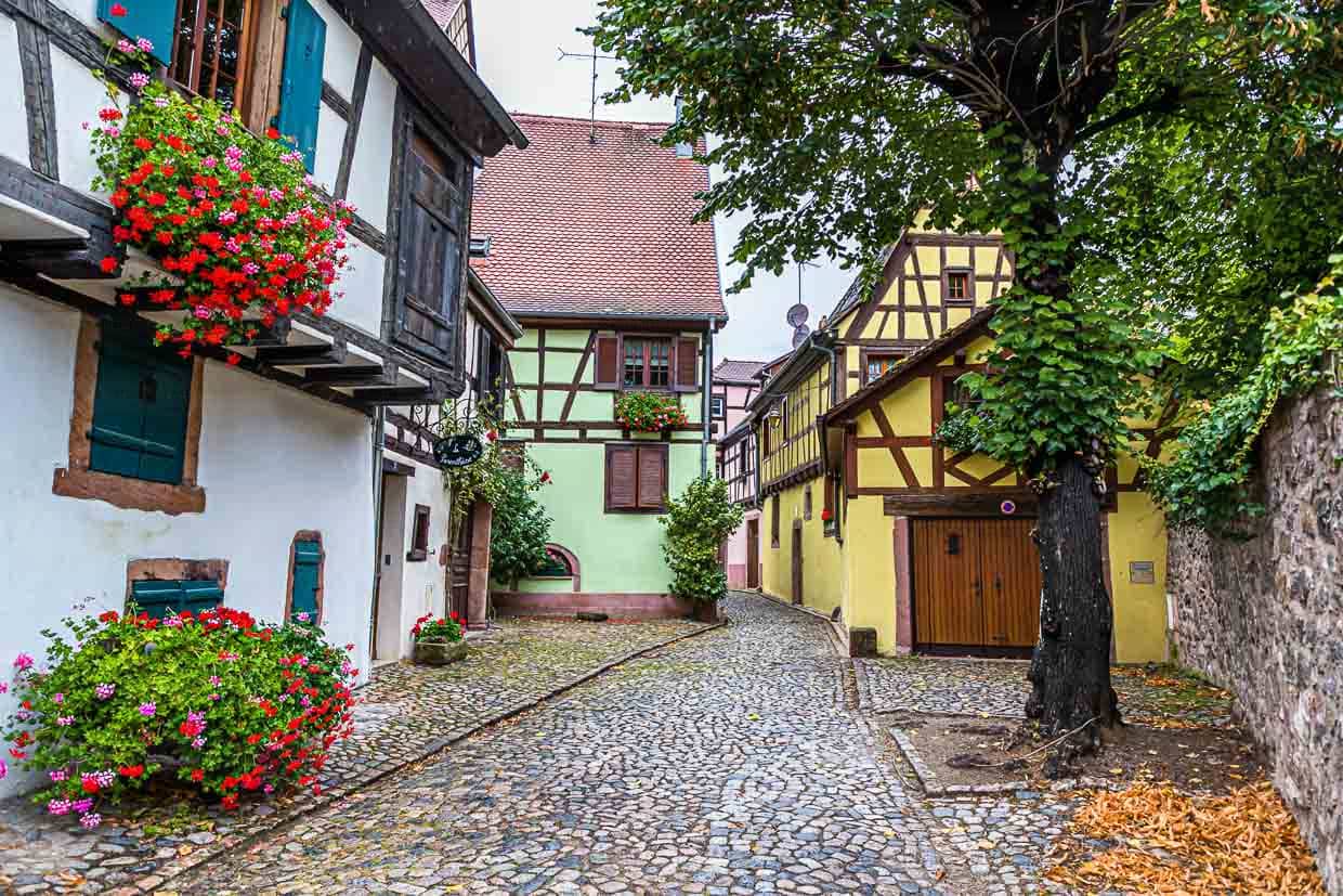 Das Elsass ist für seine mittelalterlichen Orte bekannt. Hier eine Gasse in der Altstadt von Kaysersberg / © Foto: Georg Berg