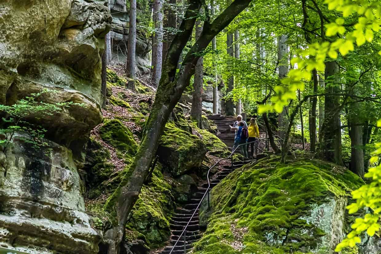 Das Müllerthal ist bekannt für seine Felsformationen aus Sandstein. Die Außentreppe des großen Felsens Perekop. Über eine steile Leiter kann man auch mitten durch den Felsen hindurch gehen