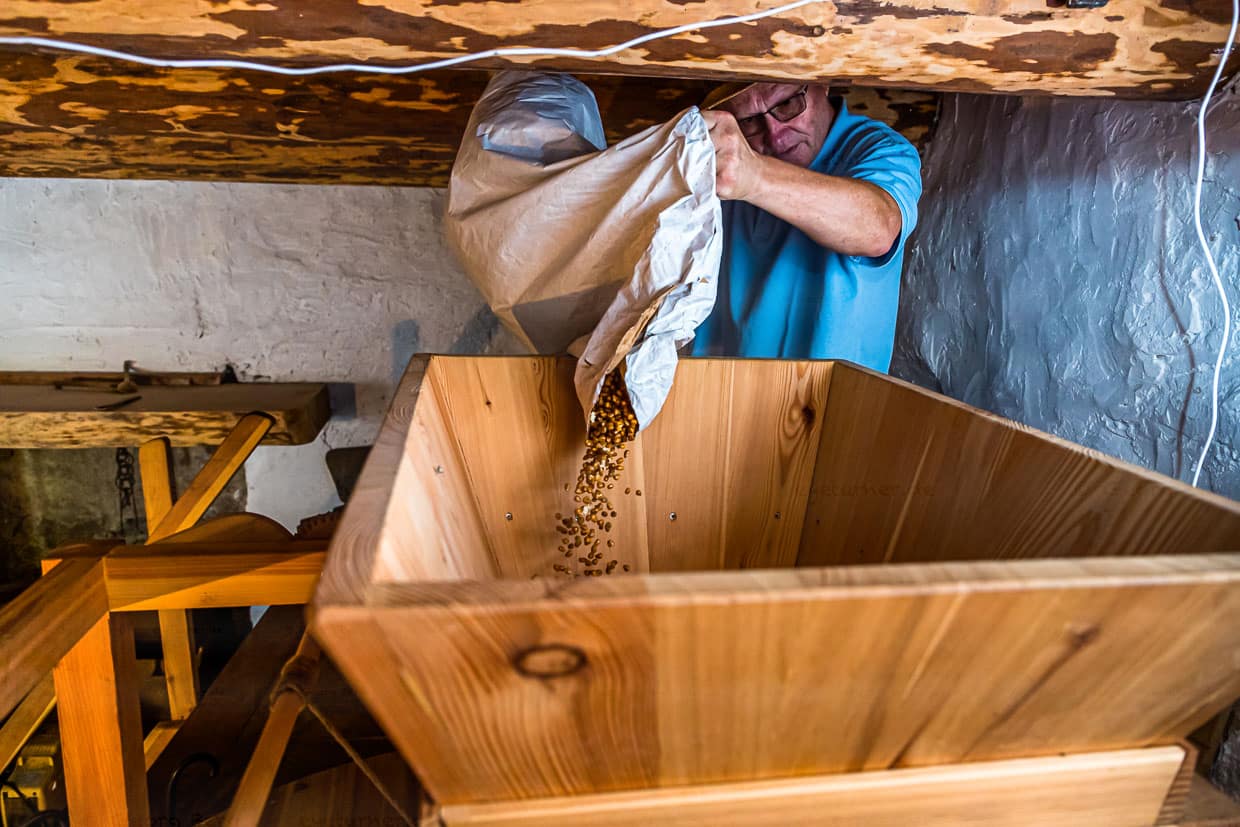Ilario Galbani füllt den gerösteten Mais in den Trichter der Mühle. Dazwischen blitzen die bei der Röstung gepoppten weißen Maiskörner auf