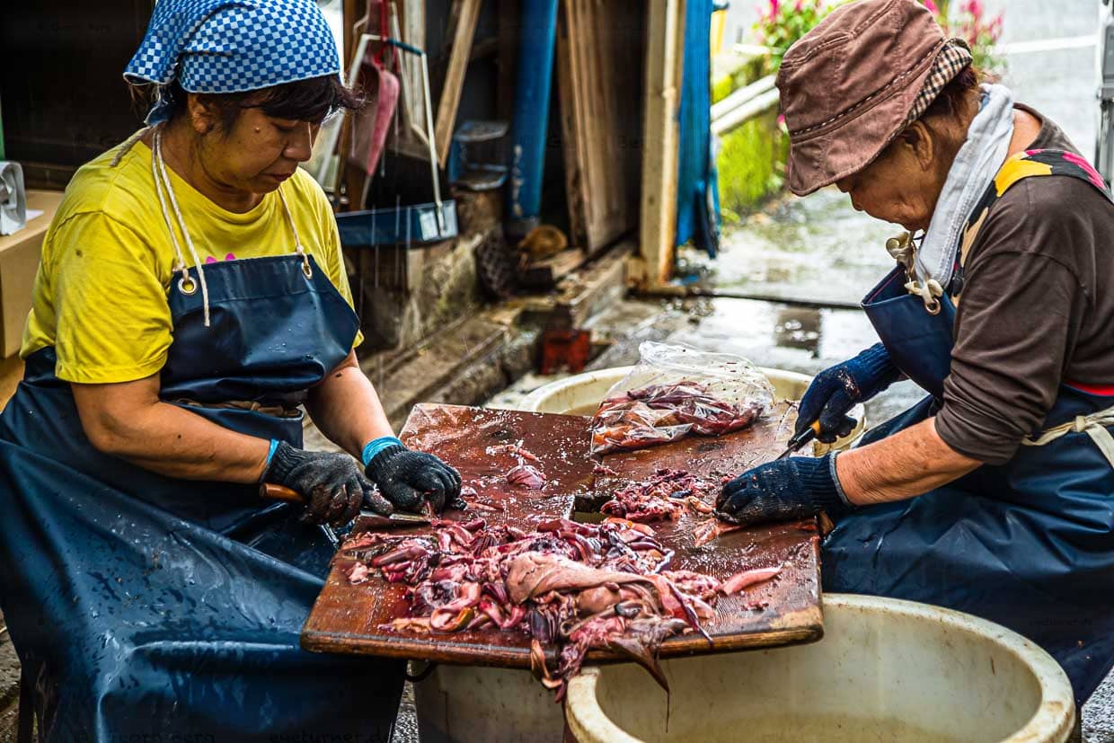 Wirklich alles wird vom Fisch verwertet. Zwei Frauen säubern sogar die Mägen der Fische, damit diese ohne Inhalt zu einer Paste weiterverarbeitet werden können / © Foto: Georg Berg