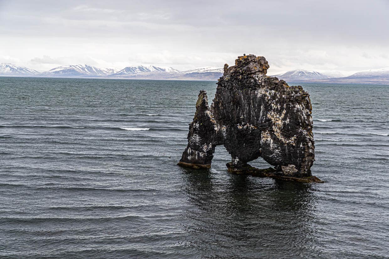 Hvítserkur ist ein 15 m hoher Basaltfelsen, der aus der Húnaflói-Bucht herausragt. In Island ist er auch bekannt als der Troll Nordwestislands / © Foto: Georg Berg