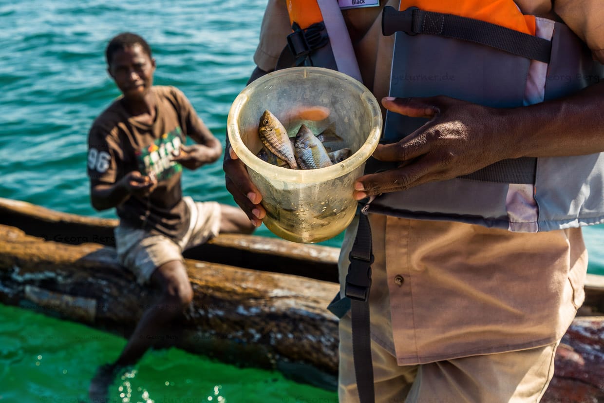 Ein Fischer verkauft seinen Fang direkt vom Boot. Lake Malawi, Cape Maclear. Im Lake Malawi gibt es 350 endemische Arten der Buntbarsche / © Foto: Georg Berg
