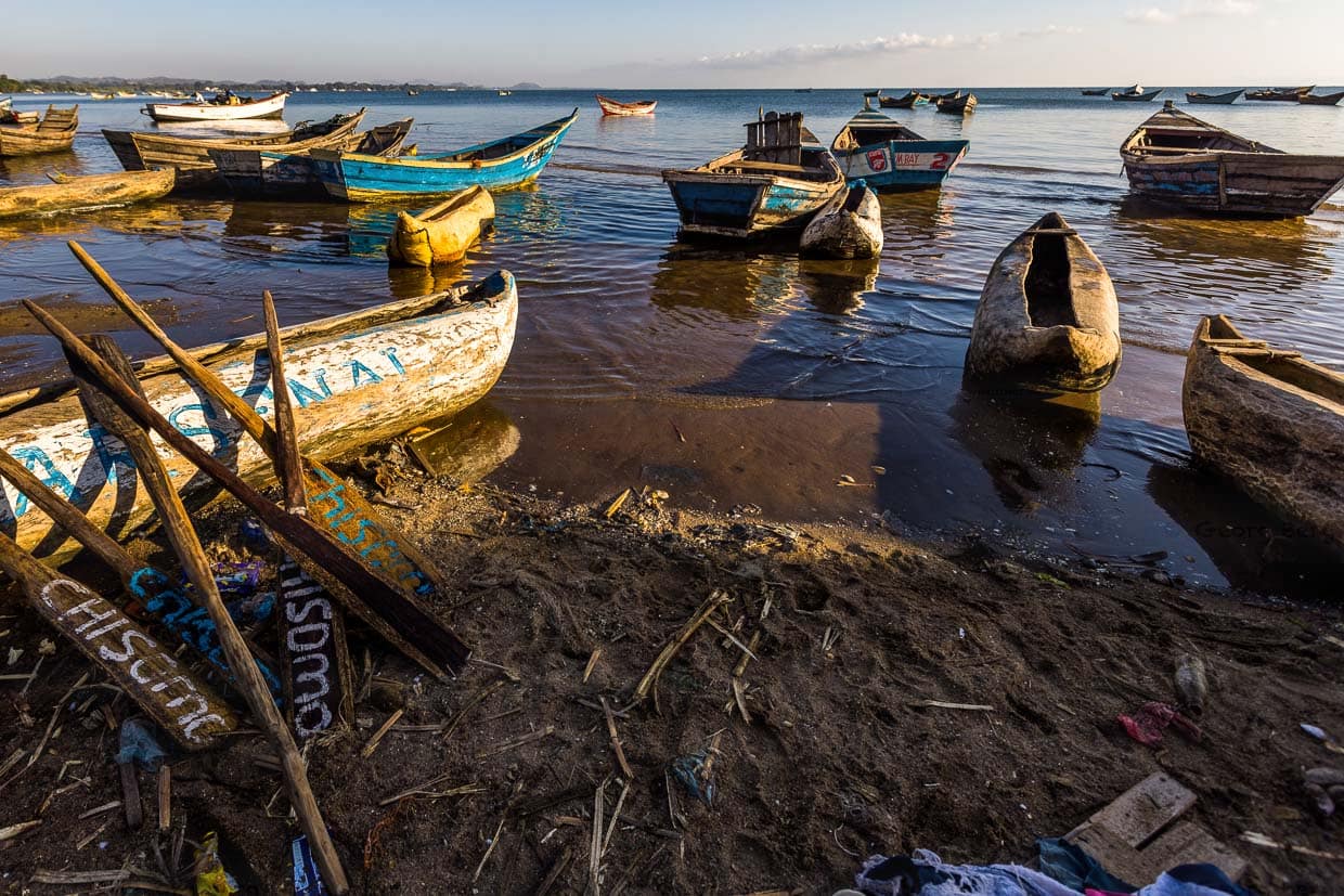 Lake Malawi, kleiner Fischerhafen bei Makawa mit Ruderbooten und vielen Einbaum-Booten für den traditoinellen Fischfang. Auf den Padeln steht in der Landessprache Chichewa das Wort „Chisomo“ für Danke / © Foto: Georg Berg