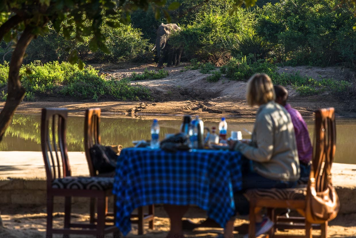 Frühstück mit Elefant in der Kutchire Lodge im Liwonde Nationalpark. Nur ein Nebenarm des Shire Fluß trennt die Gäste vom Elefanten / © Foto: Georg Berg