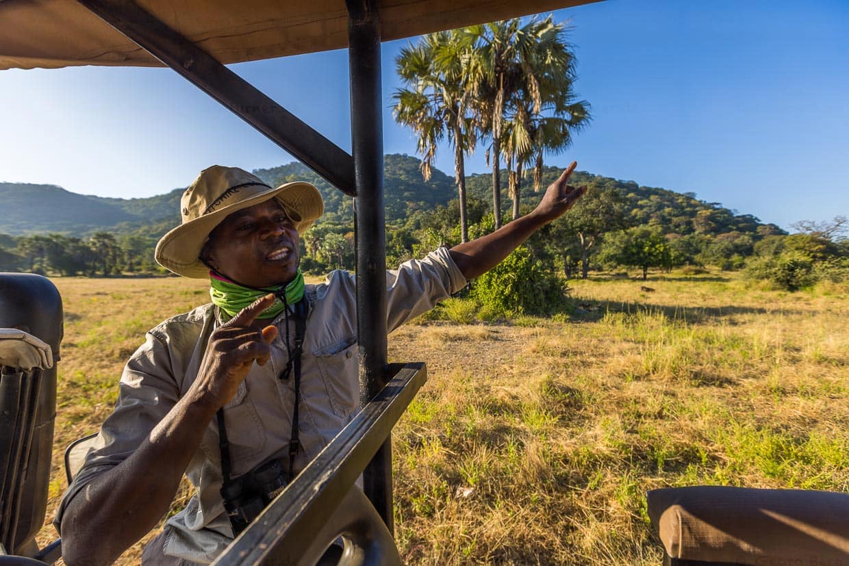 Tom ist Guide in der Kutchire Lodge und begleitet täglich Touren in den Liwonde Nationalpark. Auch über die kleinen Tiere im Park und über die Pflanzenwelt weiß er viel zu erzählen / © Foto: Georg Berg