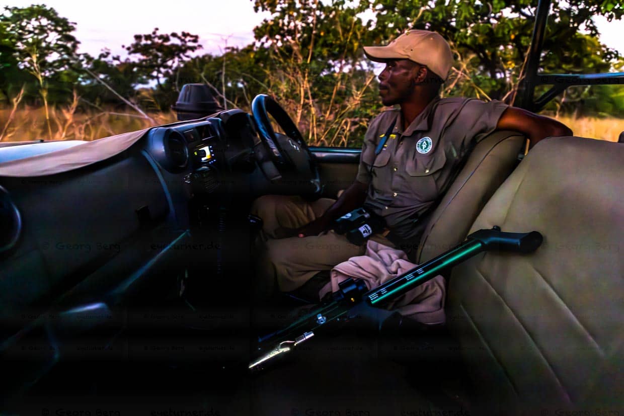 Ranger von African Parks im Geländewagen. Mit dem Betäubungsgewehr soll eine Löwin narkotisiert werden / © Foto: Georg Berg