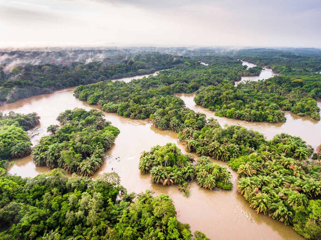 Luftaufnahme des Moa-Flusses in Sierra Leone / © Foto: Georg Berg