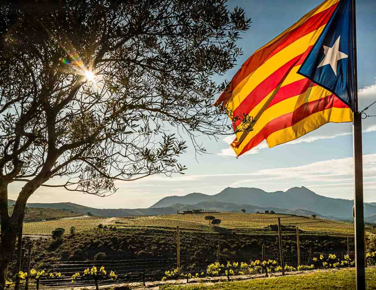 The wine, the Sierra and the sea. Three wineries are located in the Cap de Creus nature reserve. The Catalan flag flies at the winery of Martin Faixó / © Photo: Georg Berg