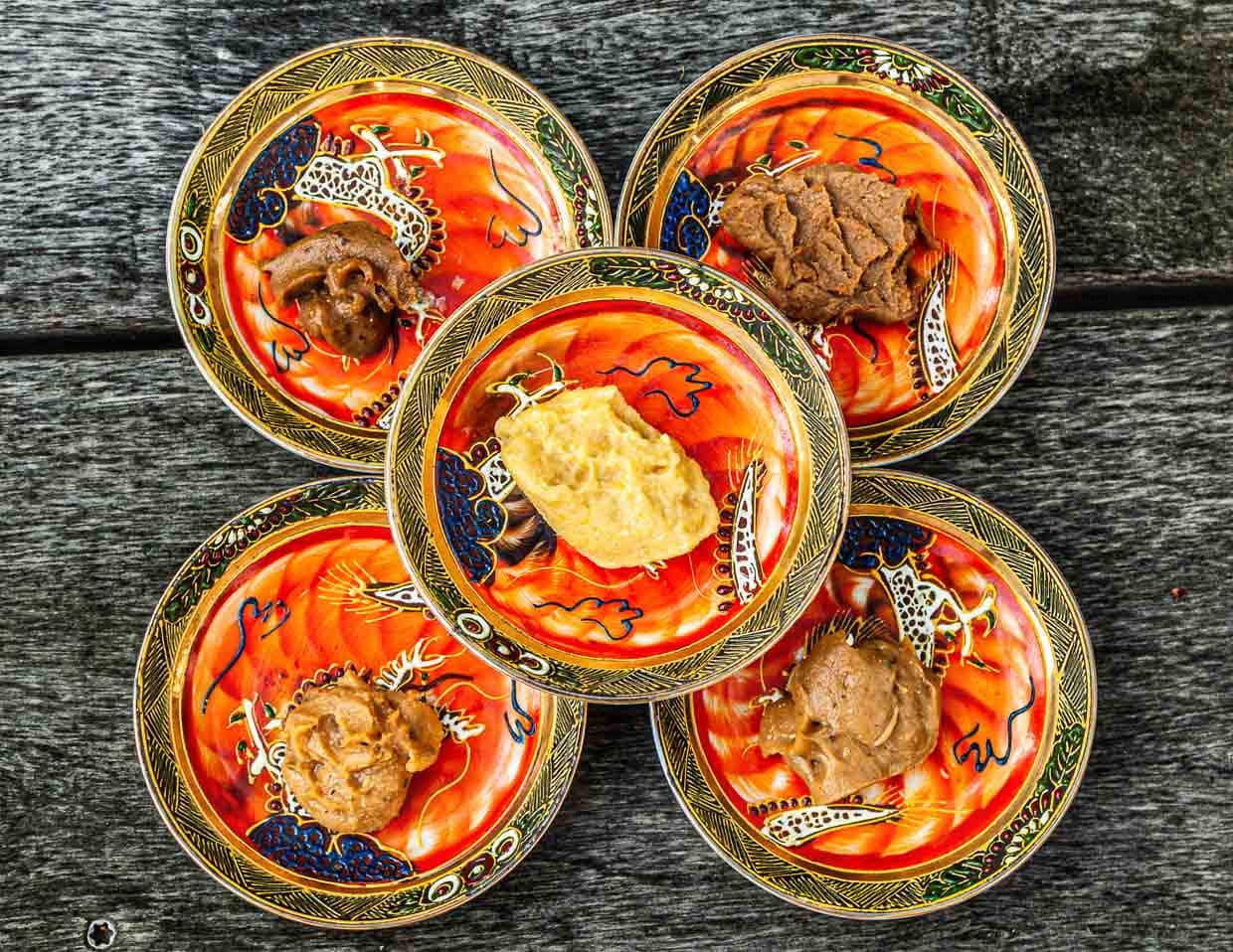 Die Vielfalt der Miso-Pasten entsteht durch die Variation der Zutaten, hier beispielsweise: Miso-Mare mit Algen oder helles Miso aus Weißlupinen / © Foto: Georg Berg