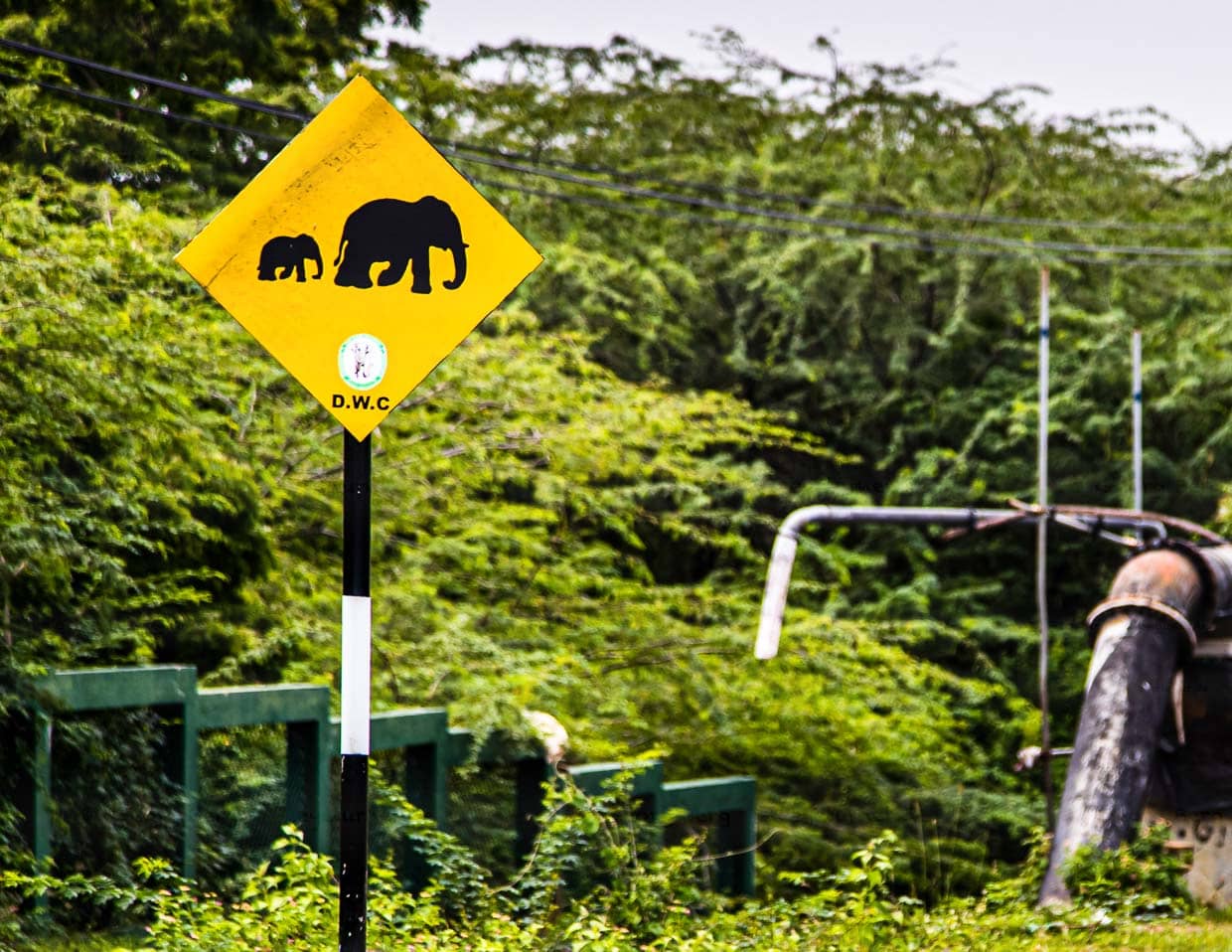 Hinweise auf wilde Elefanten gibt es sogar auf einer der wenigen Autobahnen Sri Lankas / © Foto: Georg Berg