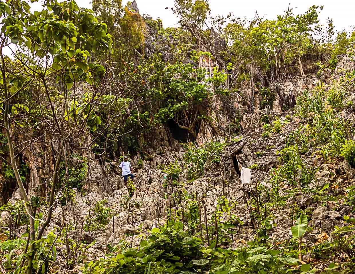 Kannibalenhöhle auf Pana Wara Wara. Der einheimische John führt uns durch steinige Gemüsefelder zu einer unscheinbaren Höhle / © Foto: Georg Berg